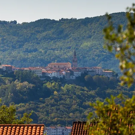 Beautiful Rhapsody With Pool In Vila Buzet